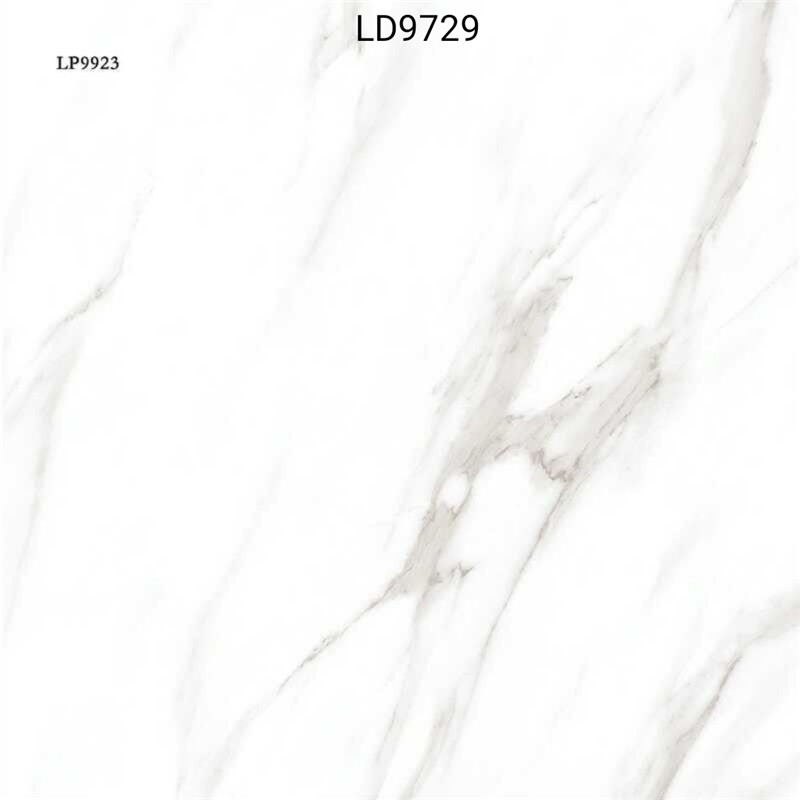 JJD9729